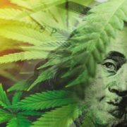 Which Marijuana Stocks Are Proving Their Values This Week?