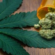 Brazil May Start Growing Medical Marijuana This Year