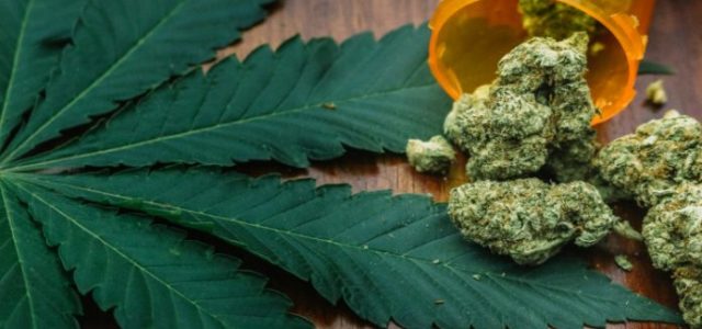 Brazil May Start Growing Medical Marijuana This Year