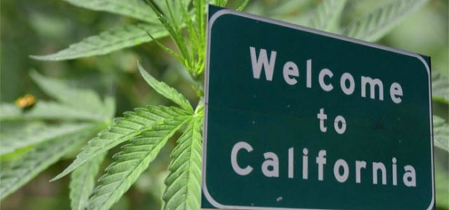 California Senate Passes Legislation For State-Charter Cannabis Banks