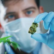 Canada’s CHP’s: A New Category of Pot Health Supplements, New Regulatory Issues