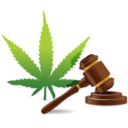 Cannabis Litigation: Second Circuit Could Force DEA to Re- or Deschedule Marijuana