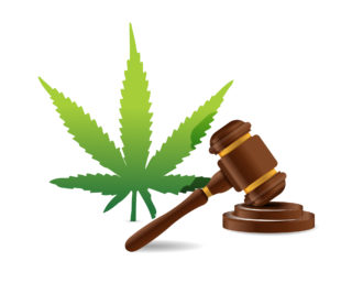 Cannabis Litigation: Second Circuit Could Force DEA to Re- or Deschedule Marijuana