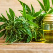 CBD Sales Are Legalized in South Africa