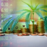 CGC Stock: Canopy Growth Corp’s Disappointing Quarterly Report Could Lead to Big Gains