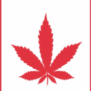 Health Canada to provide update on legalization and regulation of cannabis