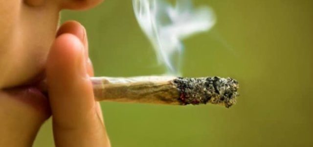 Is Marijuana a Solution to Addiction?