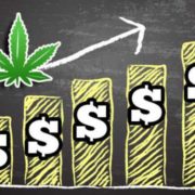 Learn How to Trade Marijuana Stocks & All Stocks
