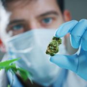 Marijuana health claims lure patients as science catches up