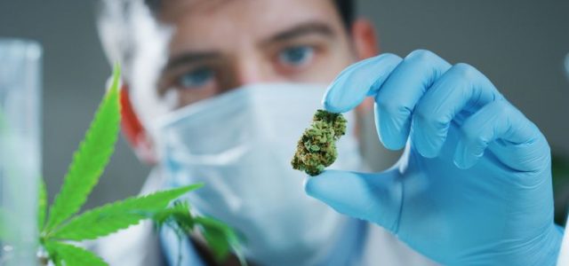 Marijuana health claims lure patients as science catches up