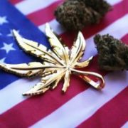 Marijuana Hits $1.0 Billion Revenue in U.S. State, Paves the Way for More to Come