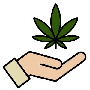 Marijuana News Today