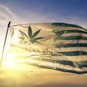 Marijuana News Today: Increasingly Likely that the Democratic Presidential Nominee Will Support Legal Pot in U.S.