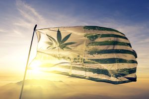 Marijuana News Today: Increasingly Likely that the Democratic Presidential Nominee Will Support Legal Pot in U.S.