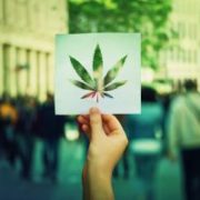 Marijuana News Today: Legalization Progresses in the U.S. While Pot Stocks Flag