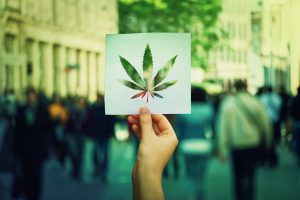 Marijuana News Today: Legalization Progresses in the U.S. While Pot Stocks Flag