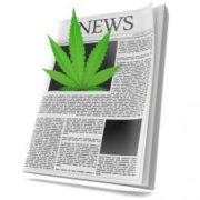 Marijuana News Today: Pot Stocks Stage Huge Rally in June