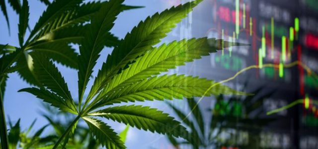 Marijuana Stocks are Building out the Hemp Industry to New Heights