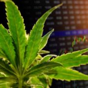 Marijuana Stocks Breaking News, Articles & Must See Updates – June 14, 2019