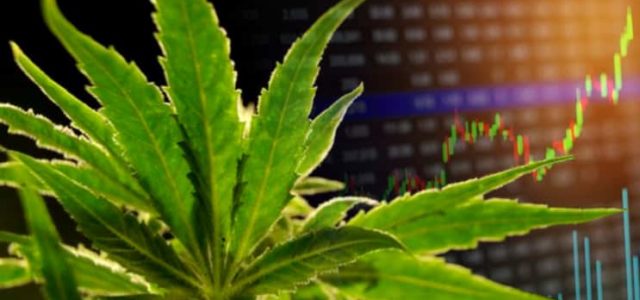 Marijuana Stocks Breaking News, Articles & Must See Updates – June 14, 2019