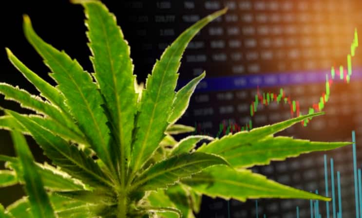 marijuana-stocks-news-june-6-2019