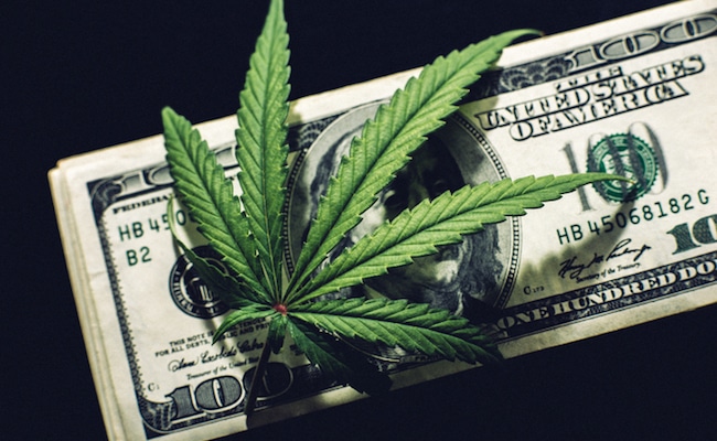 marijuana stocks news articles june