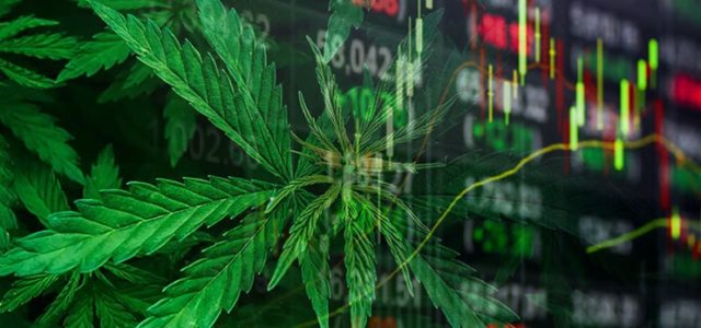 Marijuana Stocks Just Keep Getting More Enticing