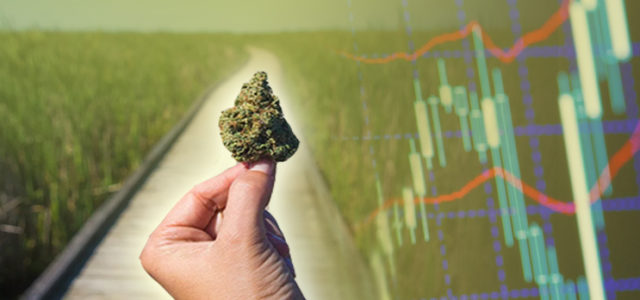 Marijuana Stocks Must Read Monday Morning Update – June 10, 2019