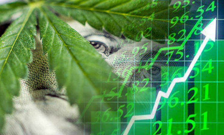 marijuana stocks news articles