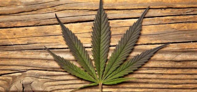 Marijuana Stocks News, Articles & More – Thursday, June 27, 2019