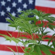More States In The U.S. Join The Fight to Legalize Marijuana