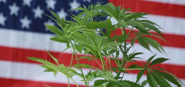 More States In The U.S. Join The Fight to Legalize Marijuana