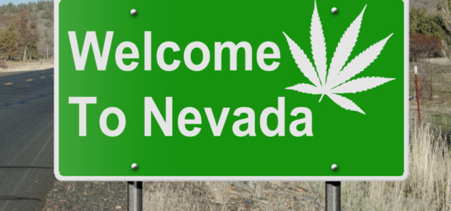 Nevada bans rejecting job applicants over marijuana use