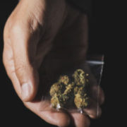 Six Ways California Can Combat the Cannabis Illict Market