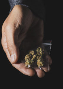 Six Ways California Can Combat the Cannabis Illict Market