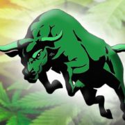 These Marijuana Stocks are Riding The Bullish Wave