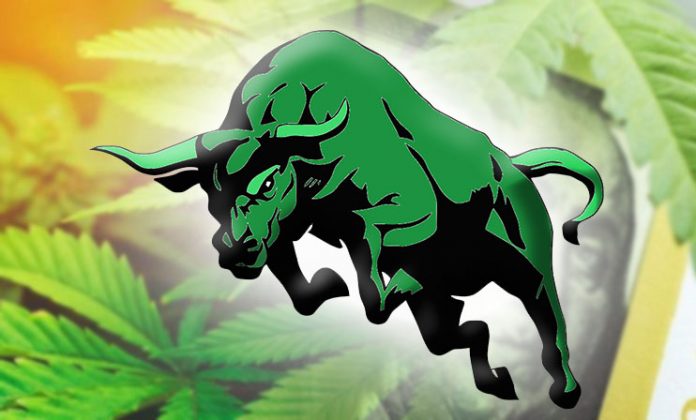 Marijuana Stocks