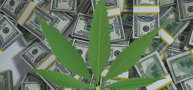 These Marijuana Stocks Are Subverting the Whole of the Market