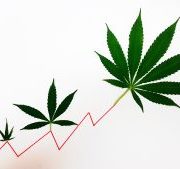 WeedMD Inc: Under-the-Radar $1.35 Pot Stock Set to Double