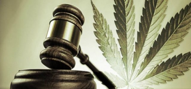 What’s Going on With Marijuana Legislation?