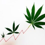 Why HEXO Stock Outperformed The Marijuana Sector?