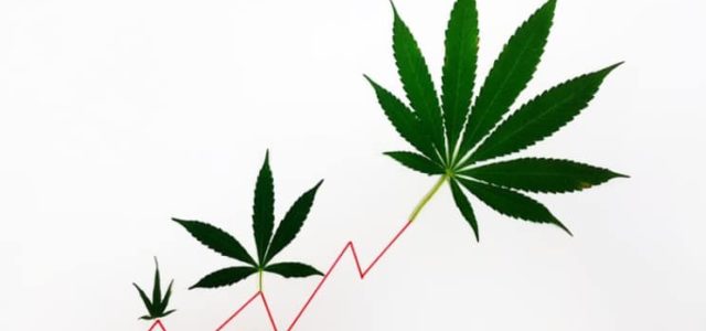 Why HEXO Stock Outperformed The Marijuana Sector?