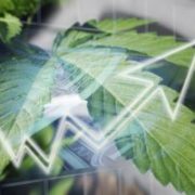 3 of the Best Cannabis Stocks Advanced Average of 252% in First Half of 2019