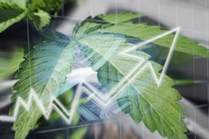 3 of the Best Cannabis Stocks Advanced Average of 252% in First Half of 2019