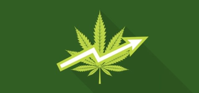 7 Cannabis Stocks for a Long-Term Portfolio