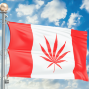 Alberta Reports $30 Million in Taxes Six Months After Cannabis Legalization