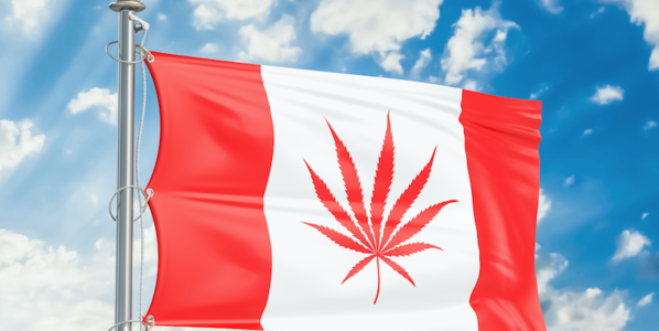 Alberta Reports $30 Million in Taxes Six Months After Cannabis Legalization