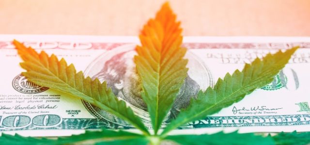Are These Pot Stocks on Investors Watchlist’s This Week?