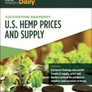 As hemp acreage booms, pricing confusion bedevils new hemp producers