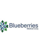 Blueberries Executes Agreement to Acquire Cannabis Cultivation, Processing & Manufacturing Rights for 3.2M Square Foot Argentina Property